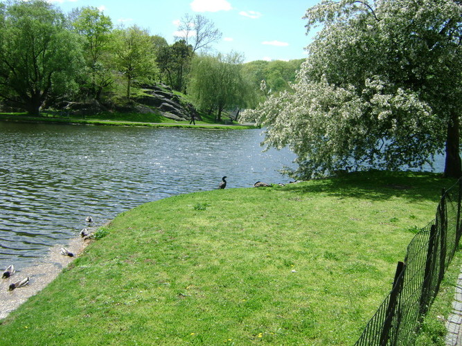 Large