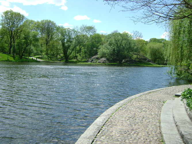 Large