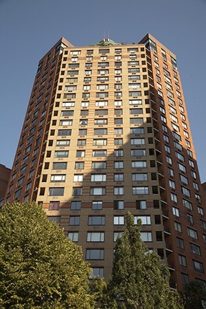 Large