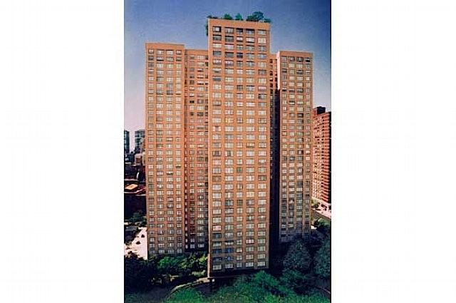 Large